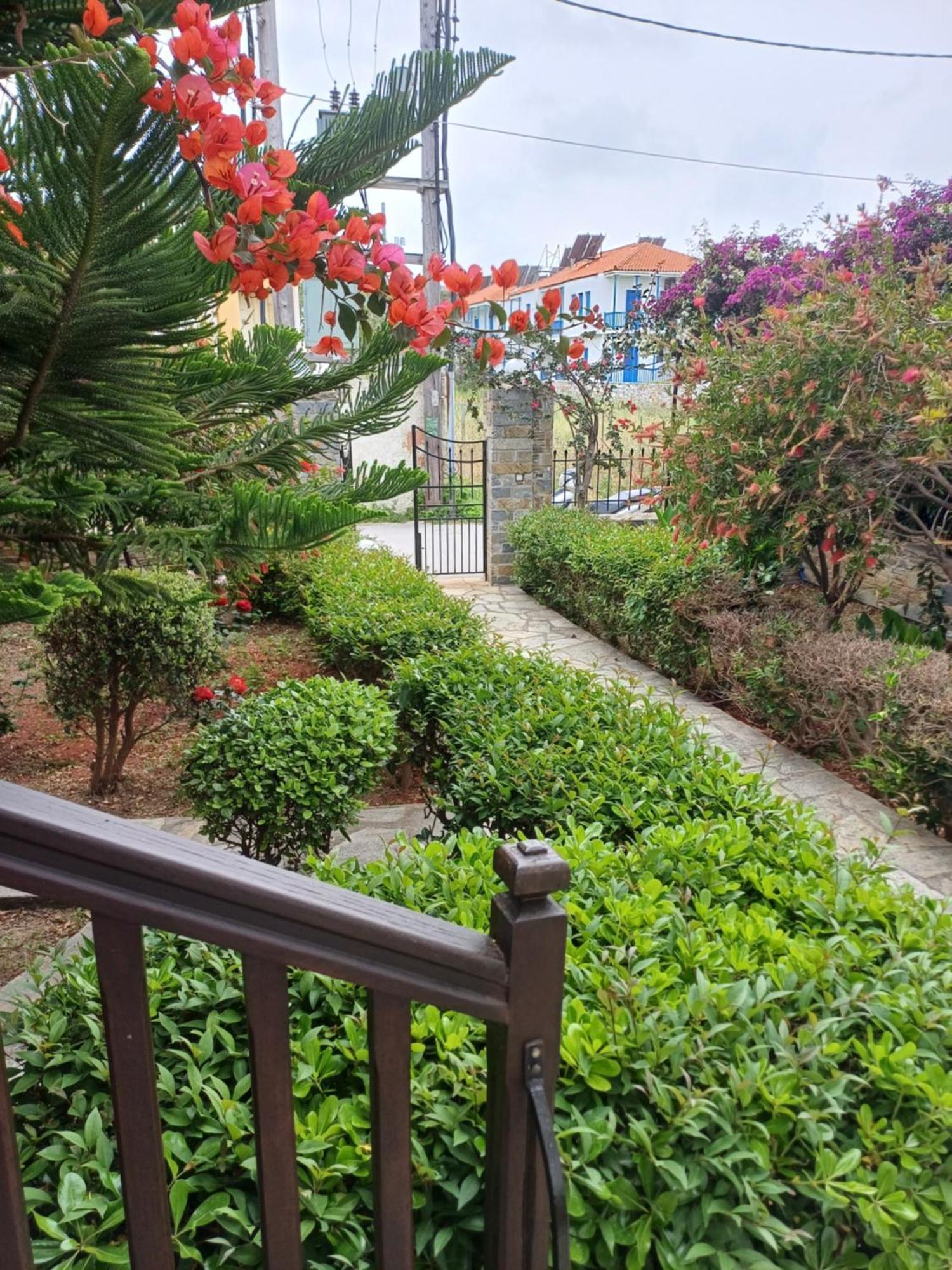 Nikolaos Studios Apartments Skopelos Town Exterior photo